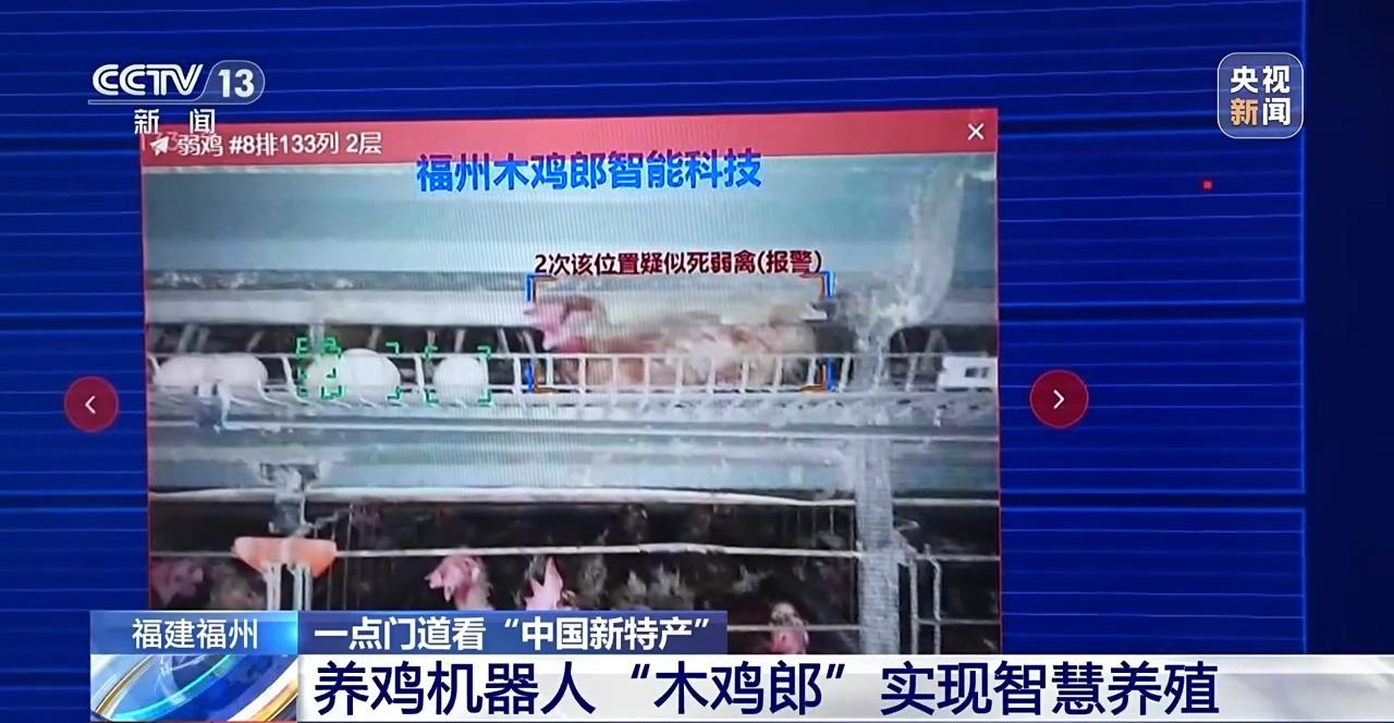 央视关注福州：国外鸡蛋价格飞涨 我们的蛋价为何稳得住