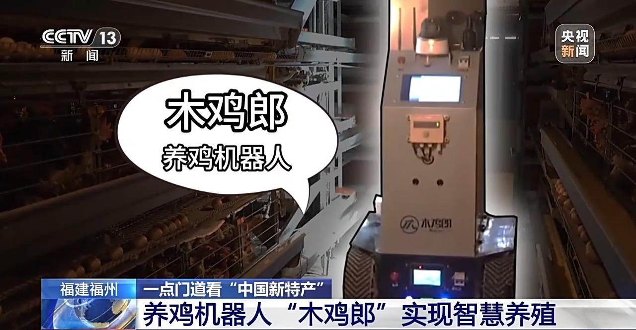 央视关注福州：国外鸡蛋价格飞涨 我们的蛋价为何稳得住