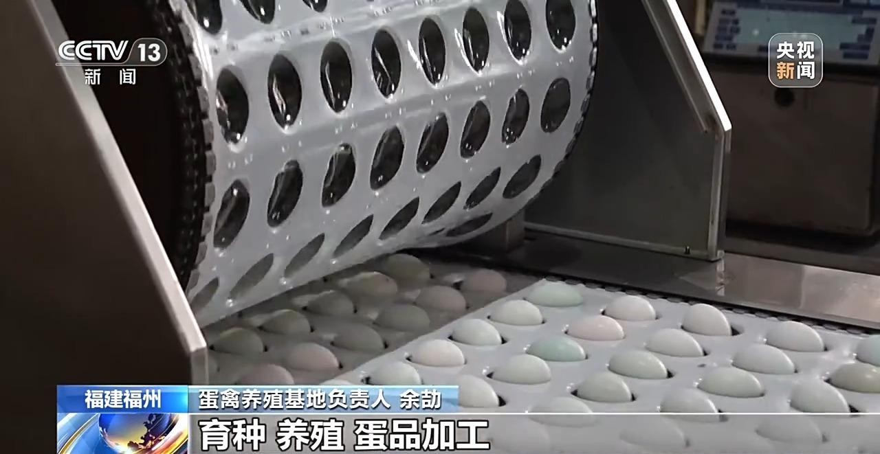 央视关注福州：国外鸡蛋价格飞涨 我们的蛋价为何稳得住