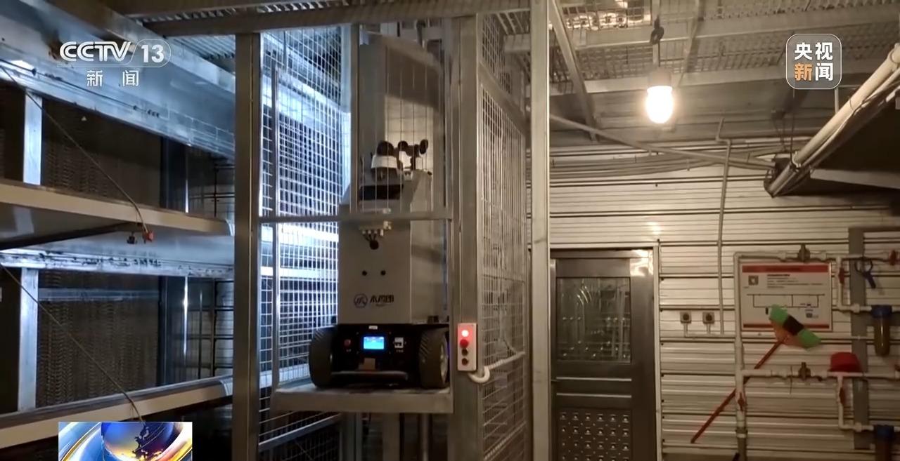 央视关注福州：国外鸡蛋价格飞涨 我们的蛋价为何稳得住