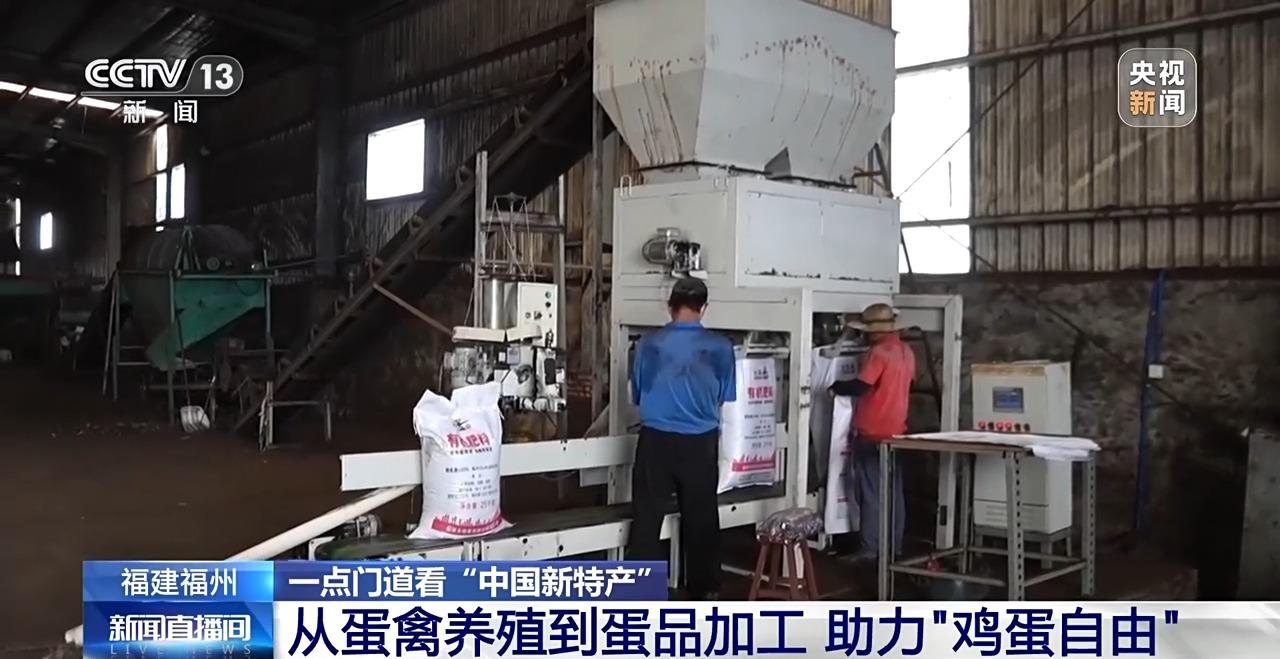 央视关注福州：国外鸡蛋价格飞涨 我们的蛋价为何稳得住