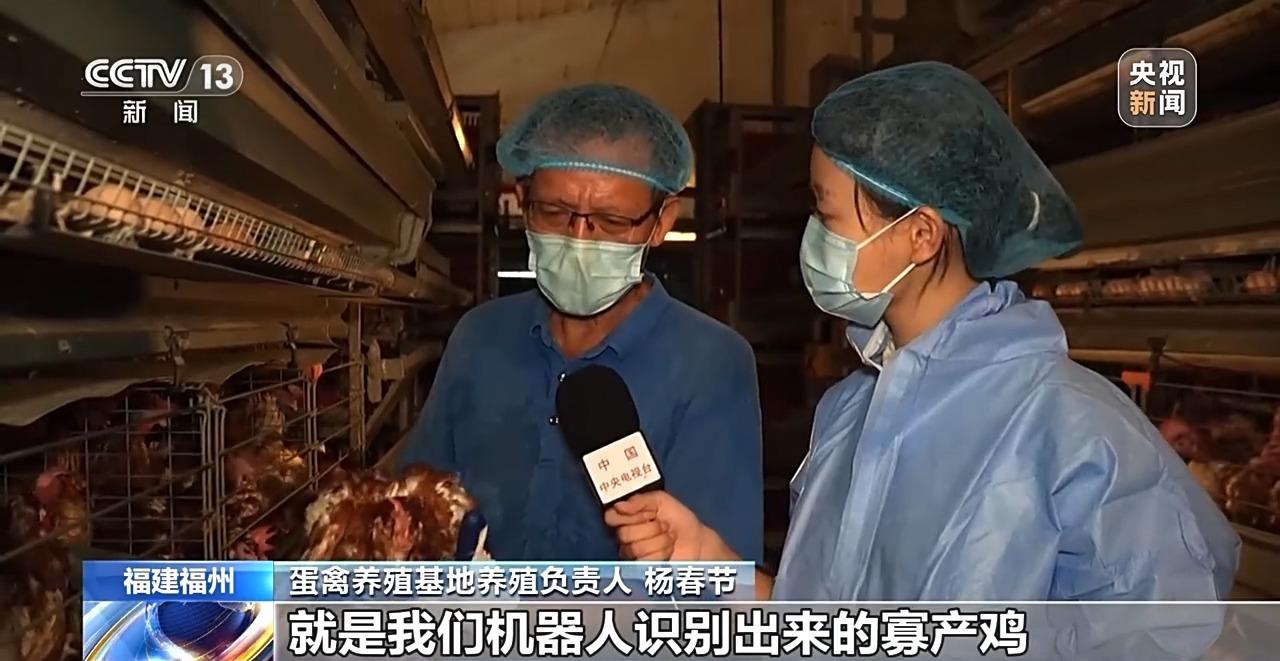 央视关注福州：国外鸡蛋价格飞涨 我们的蛋价为何稳得住