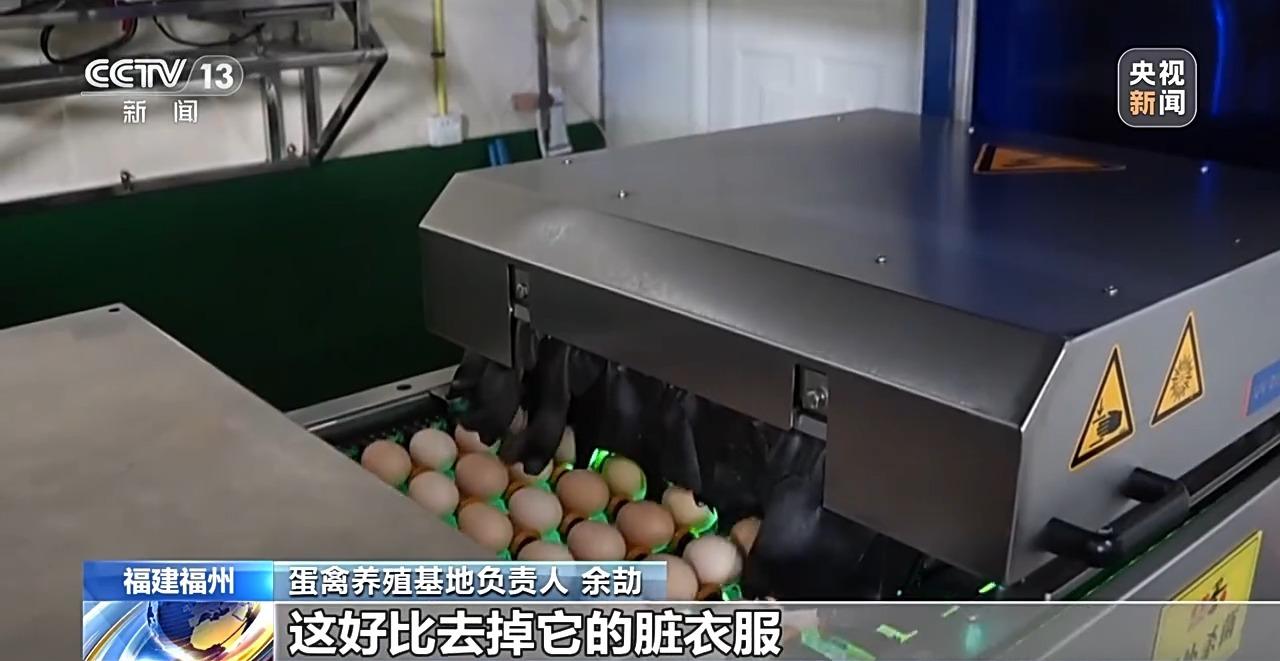 央视关注福州：国外鸡蛋价格飞涨 我们的蛋价为何稳得住