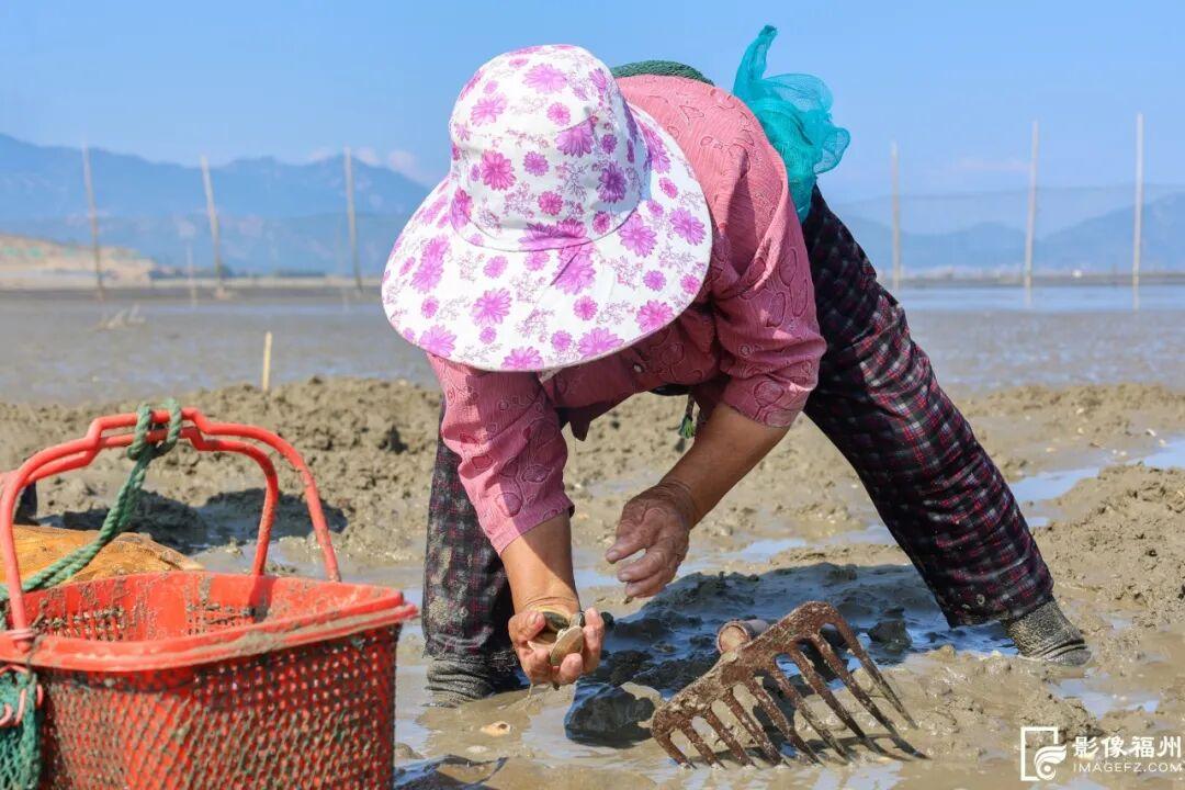 这口金秋的“鲜”，等你来尝！