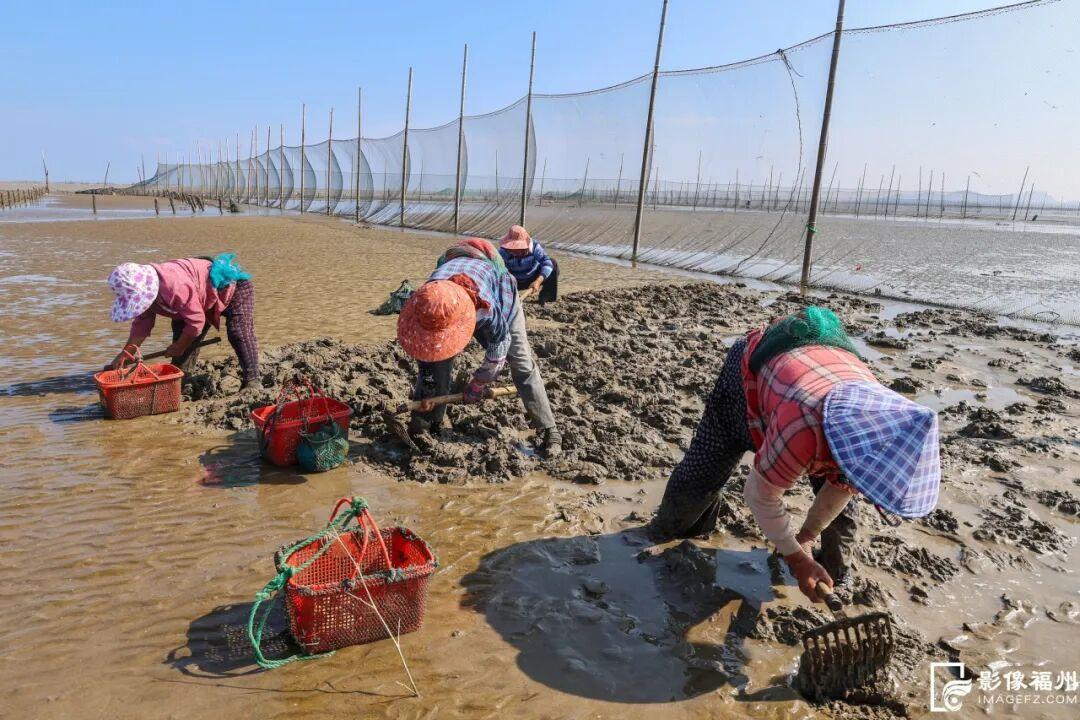 这口金秋的“鲜”，等你来尝！