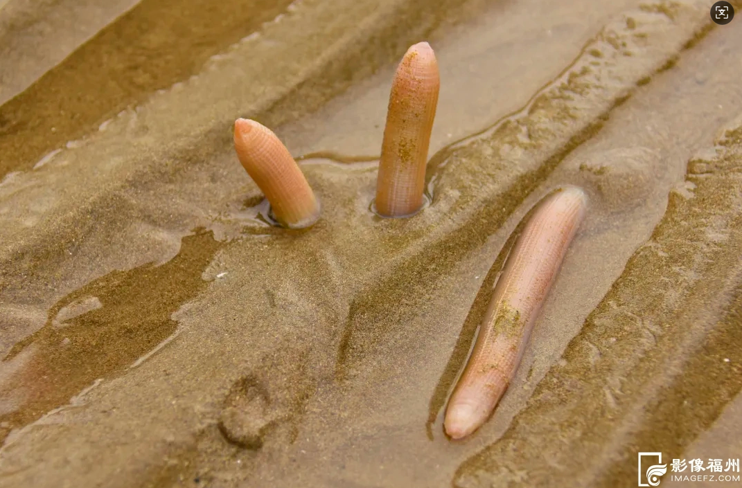 这口金秋的“鲜”，等你来尝！