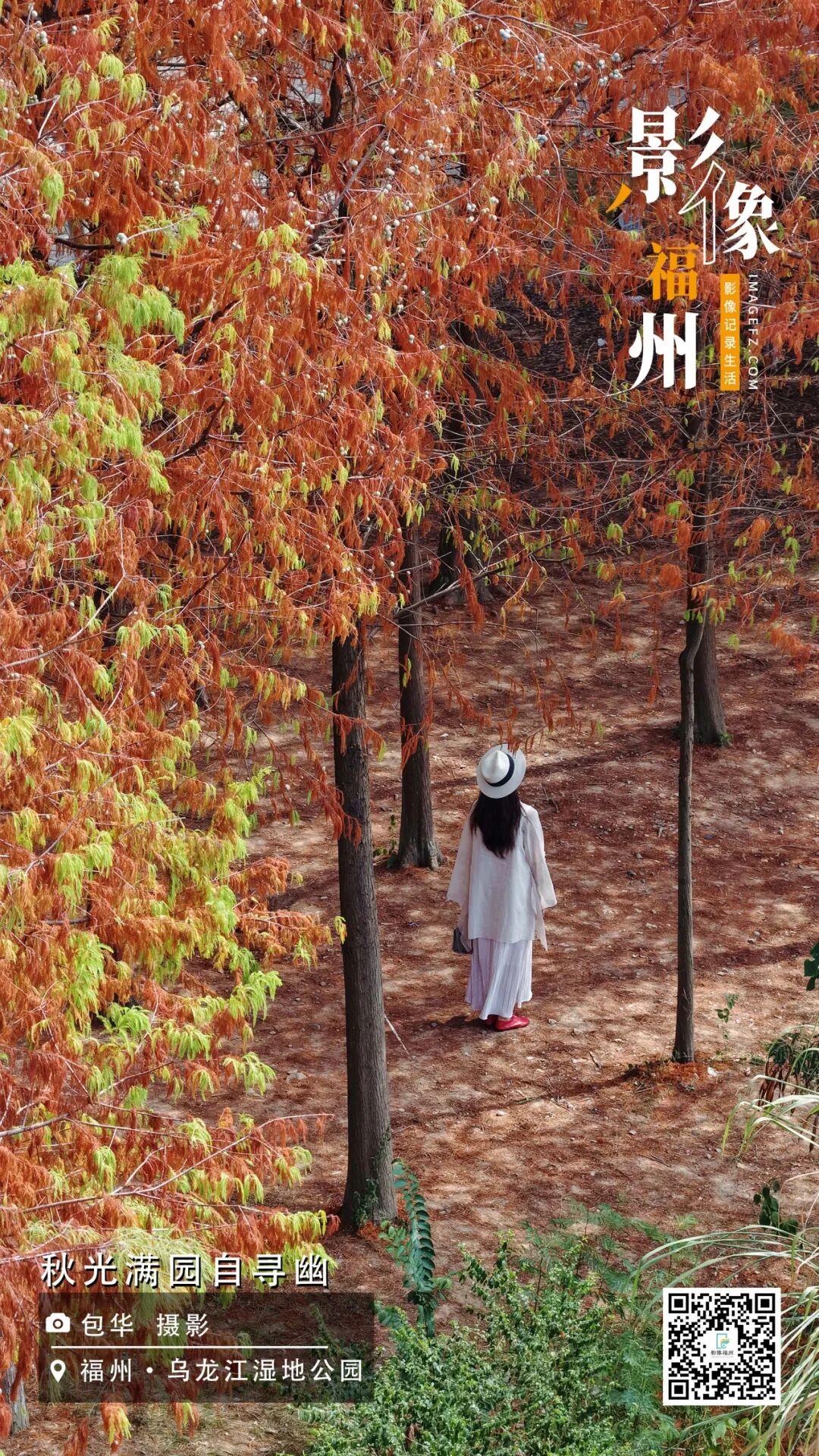 影像福州丨秋光满园自寻幽