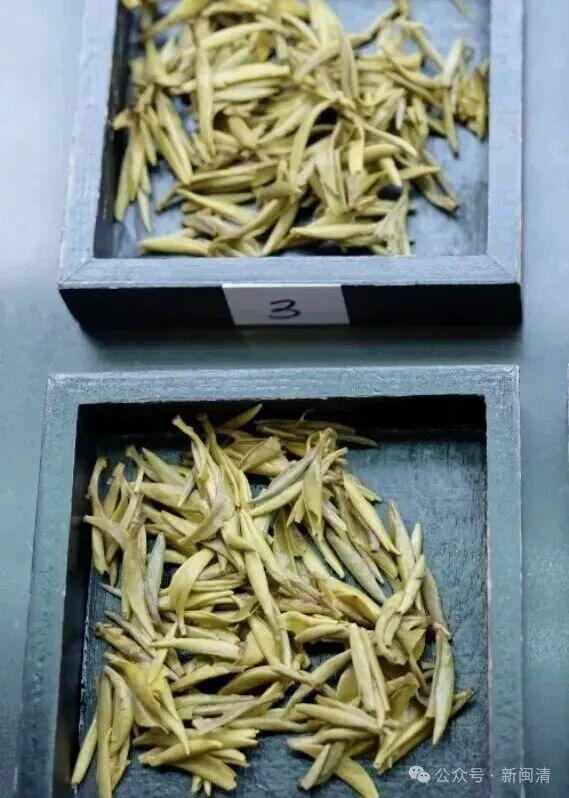 福州茉莉花茶闽清产业园7家茶企斩获茶王赛11个奖项