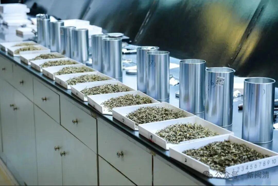 福州茉莉花茶闽清产业园7家茶企斩获茶王赛11个奖项
