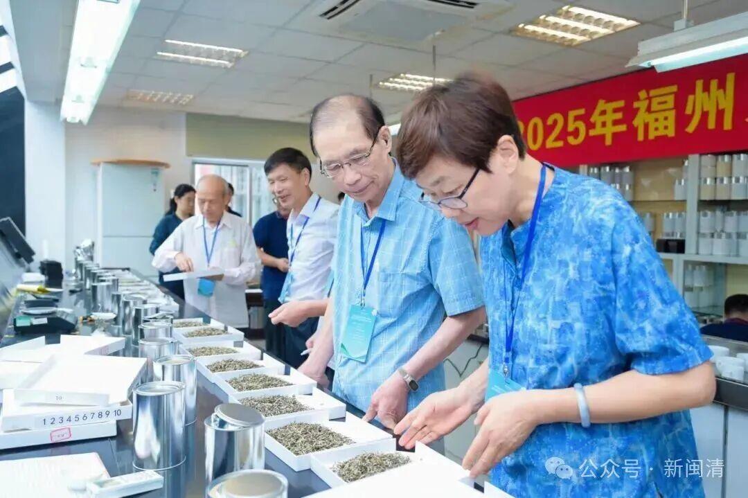 福州茉莉花茶闽清产业园7家茶企斩获茶王赛11个奖项