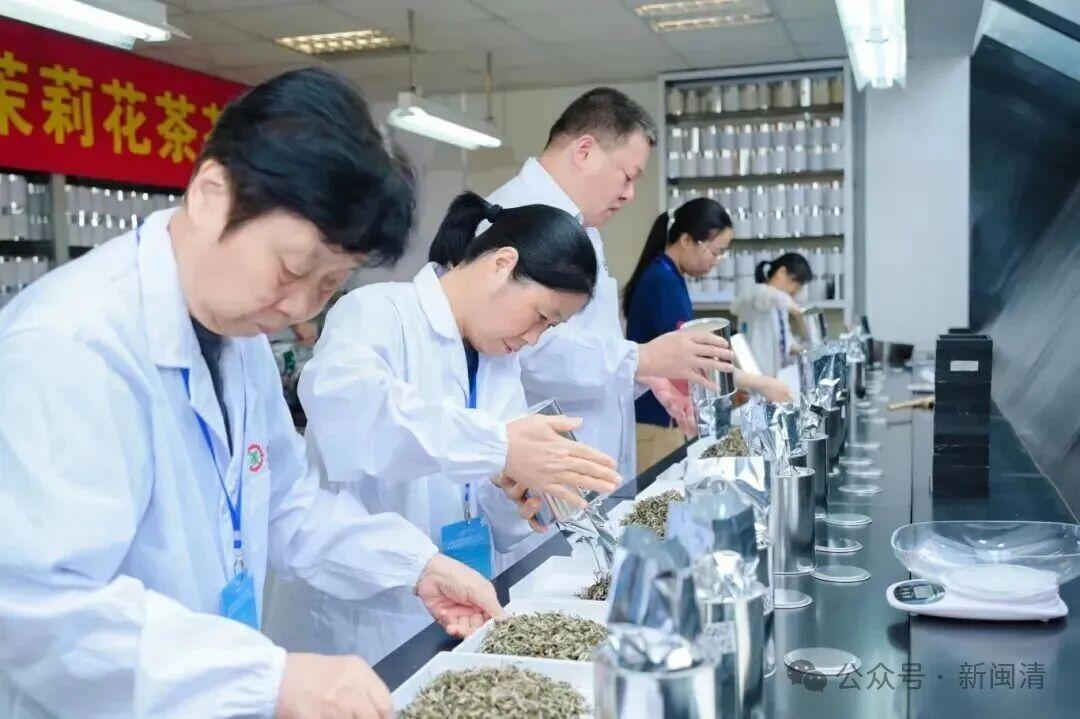 福州茉莉花茶闽清产业园7家茶企斩获茶王赛11个奖项