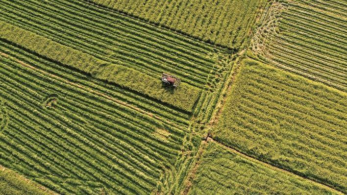 山海福建 振兴有道