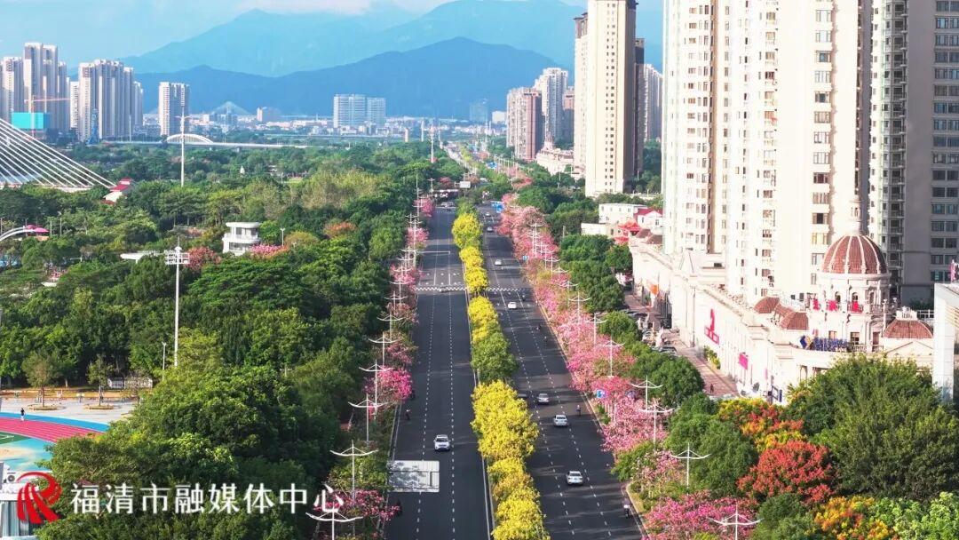 秋日限定！福州这条“粉色大道”，超美！