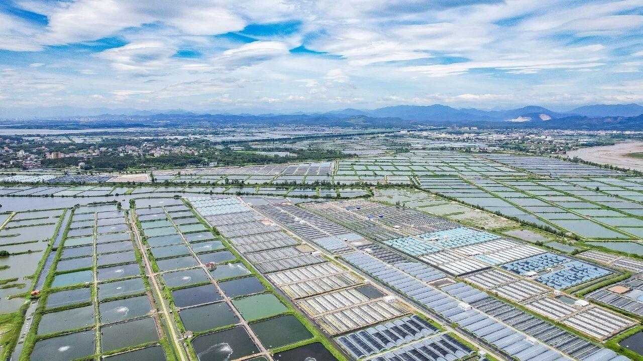 时政微观察丨以宏伟蓝图引领高质量发展