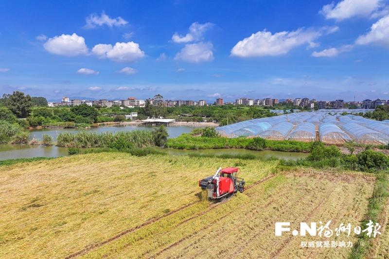 “十四五”奋进足迹｜福州特色现代农业迈上新台阶