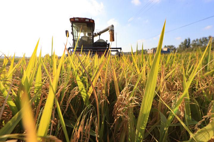 思想之光照亮奋进之路——以习近平同志为核心的党中央引领中国经济社会高质量发展迈向新境界