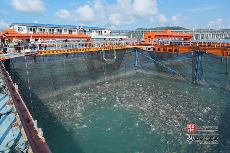 县在发生｜“海上福州”传佳音​ “航宁2号”年底建成！