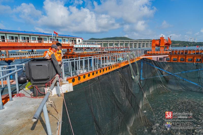 县在发生｜“海上福州”传佳音​ “航宁2号”年底建成！