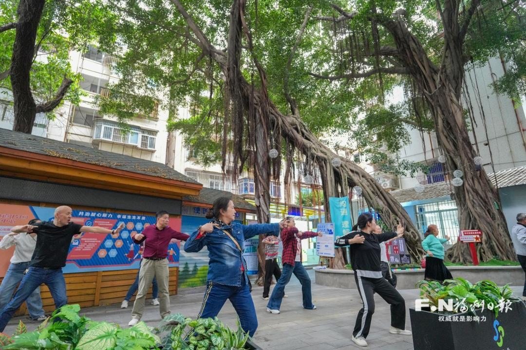 古榕树下新变化