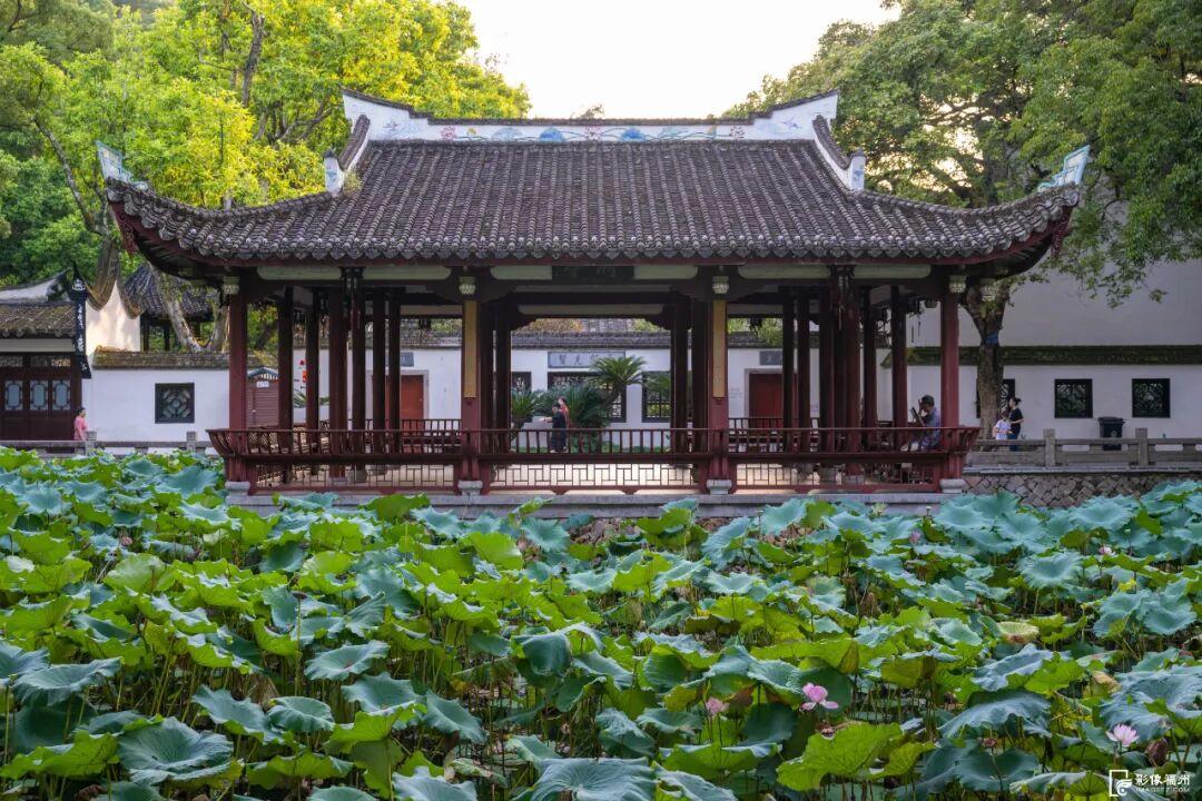 福州这个公园有了新身份，快来打卡！