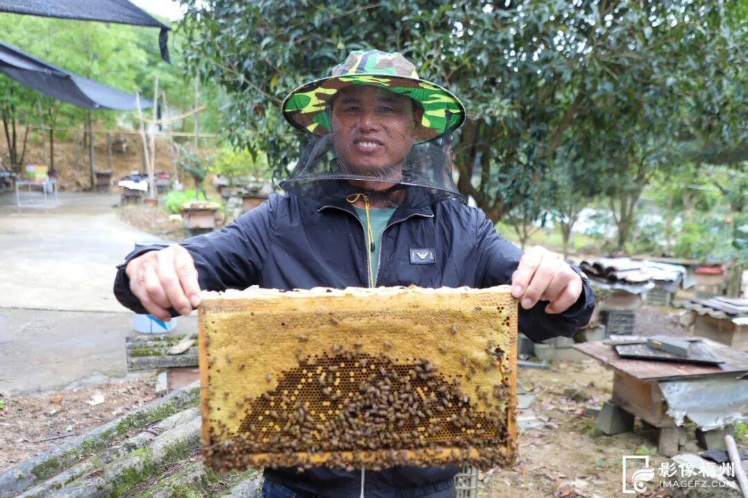 福州这里有份甜蜜等你查收！