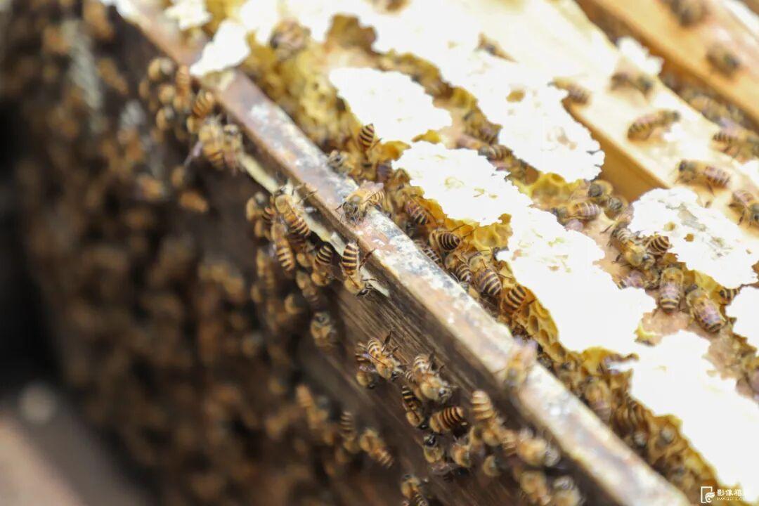 福州这里有份甜蜜等你查收！