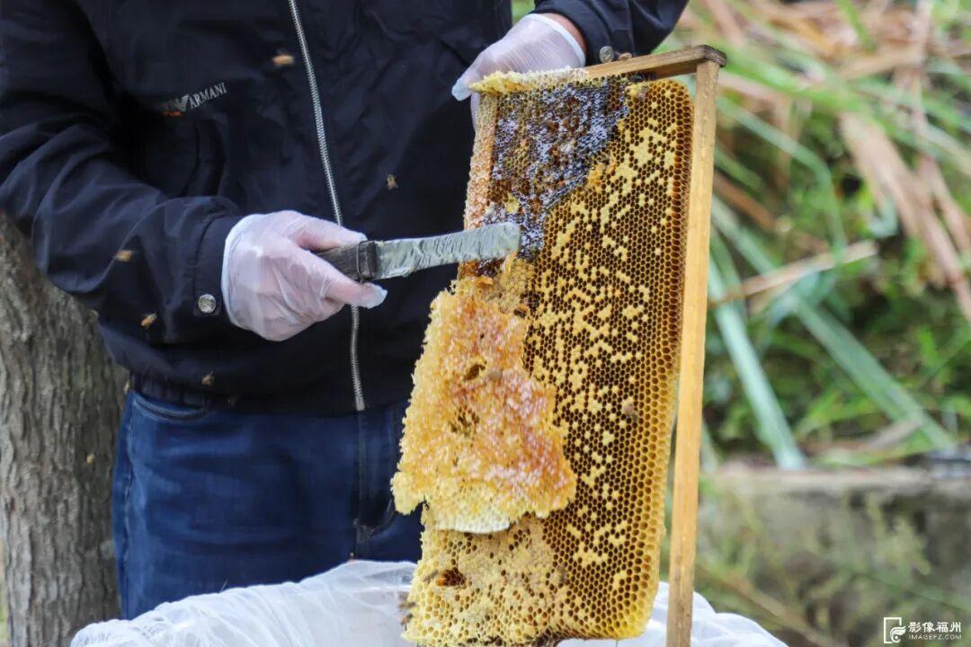 福州这里有份甜蜜等你查收！