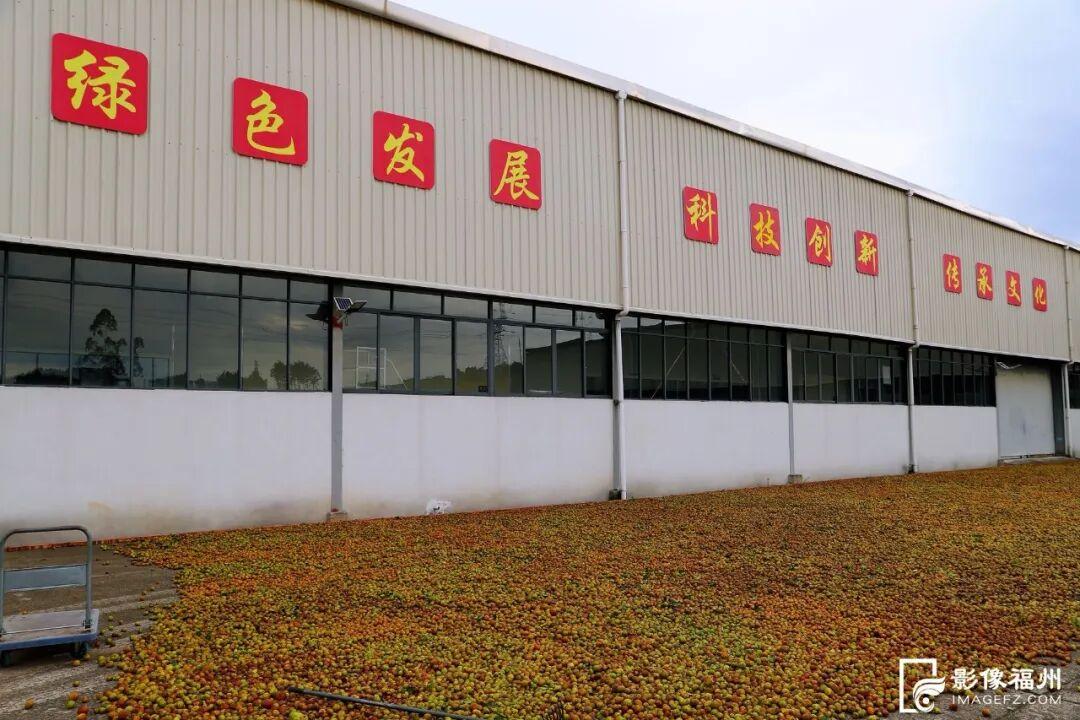 福州这里有份甜蜜等你查收！