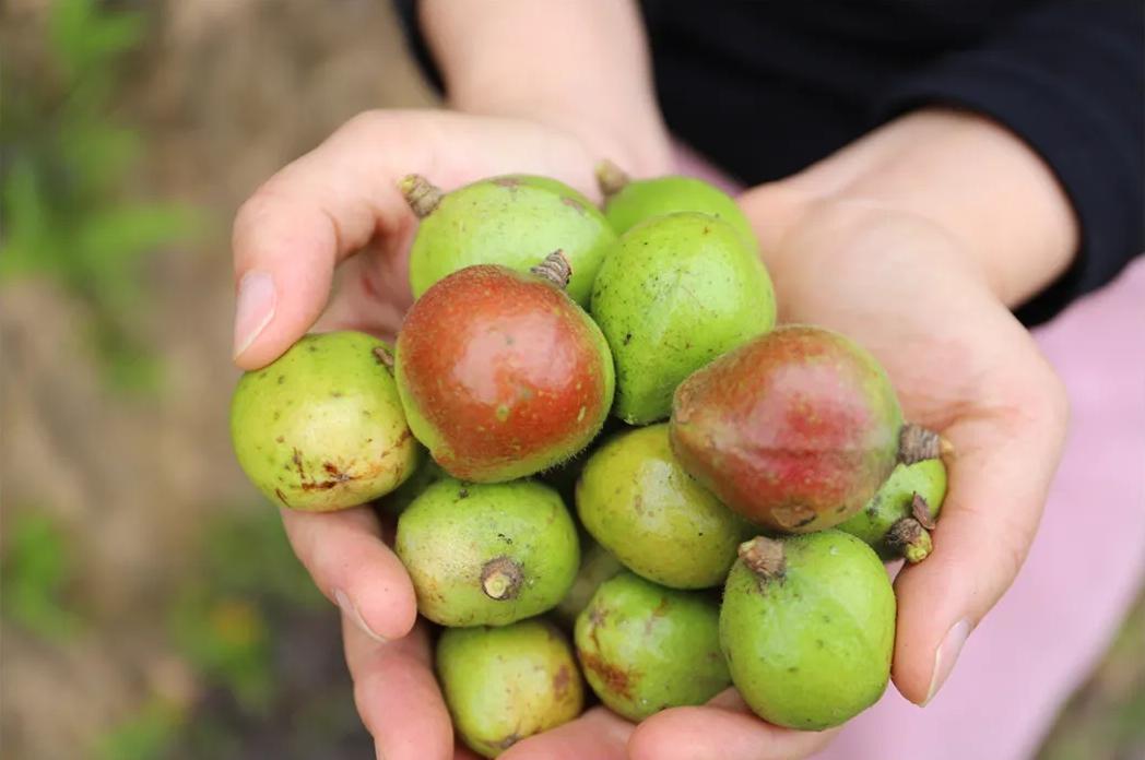 福州这里有份甜蜜等你查收！