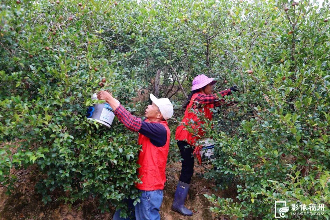 福州这里有份甜蜜等你查收！