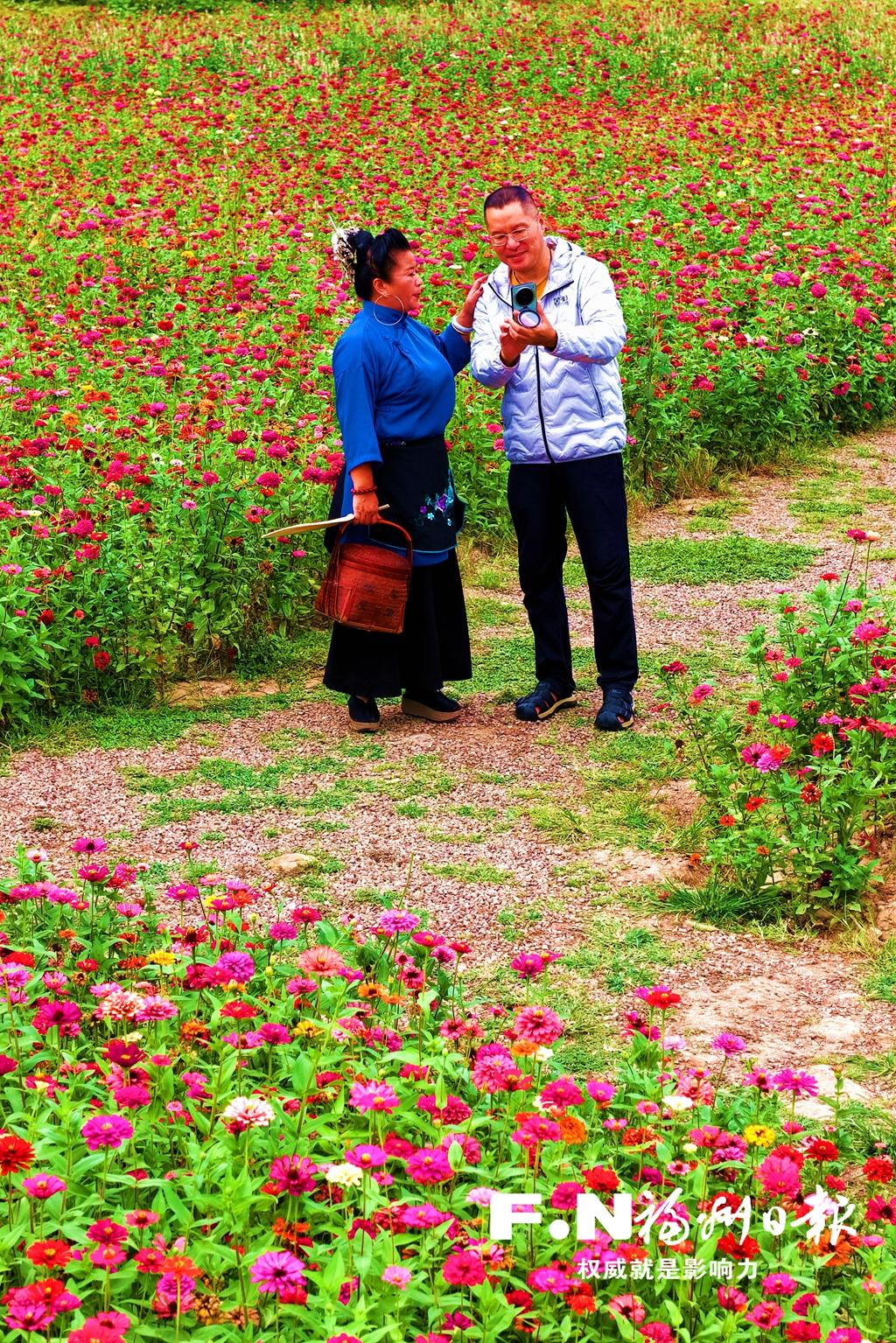 读城 | 福州这里七彩花海上线！周末约起~