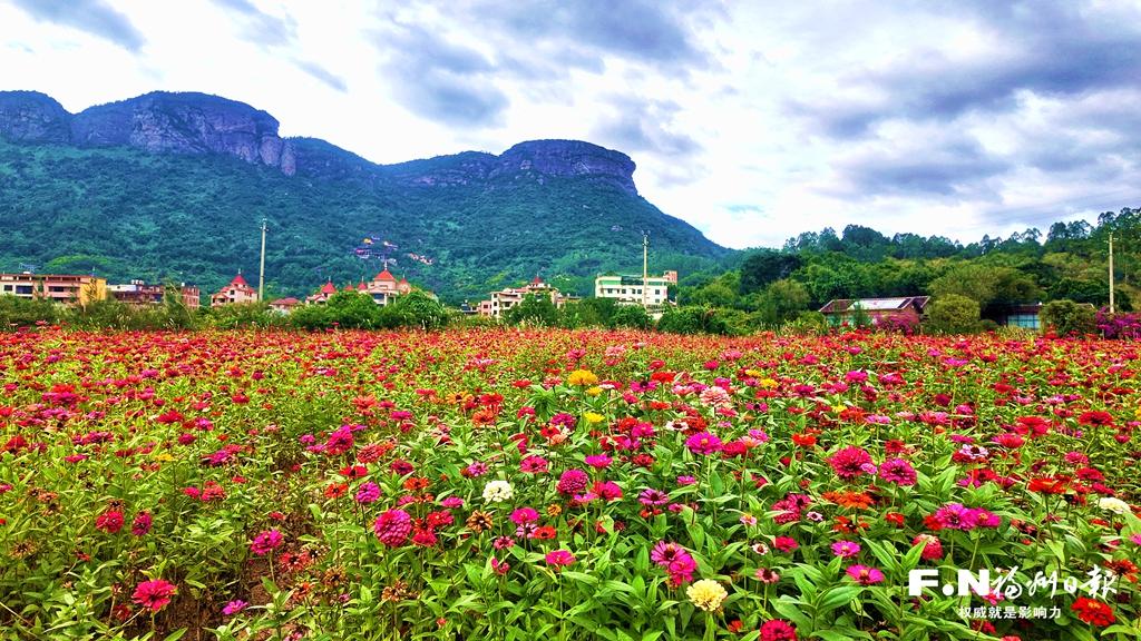 读城 | 福州这里七彩花海上线！周末约起~