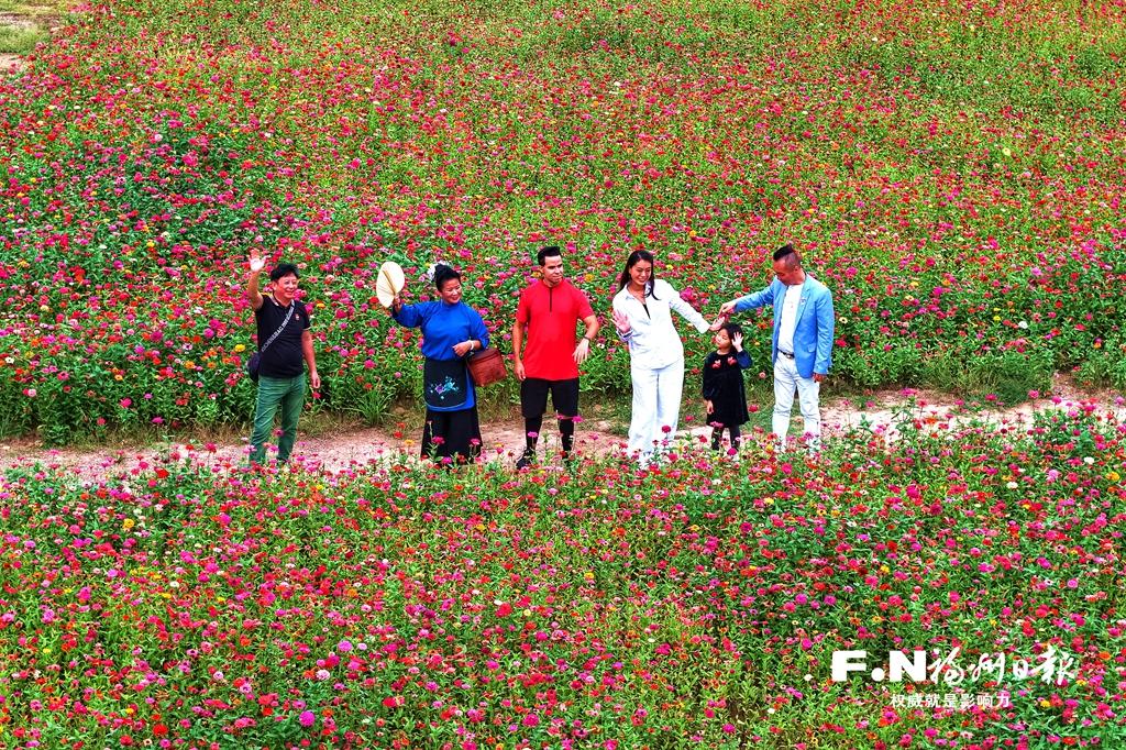 读城 | 福州这里七彩花海上线！周末约起~