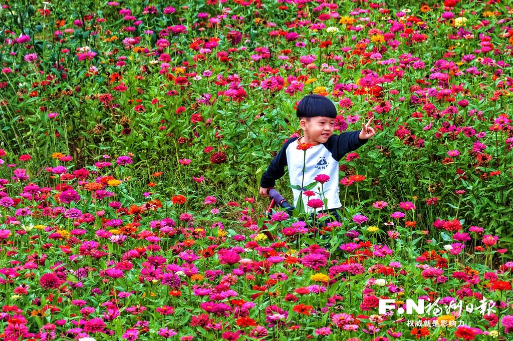读城 | 福州这里七彩花海上线！周末约起~