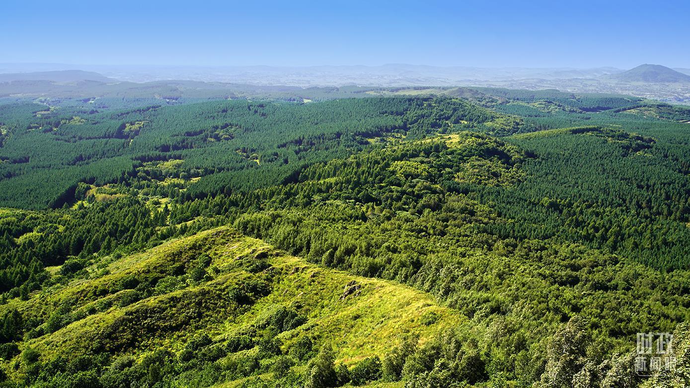 时政新闻眼丨未来五年怎么干？党的二十届四中全会擘画发展蓝图