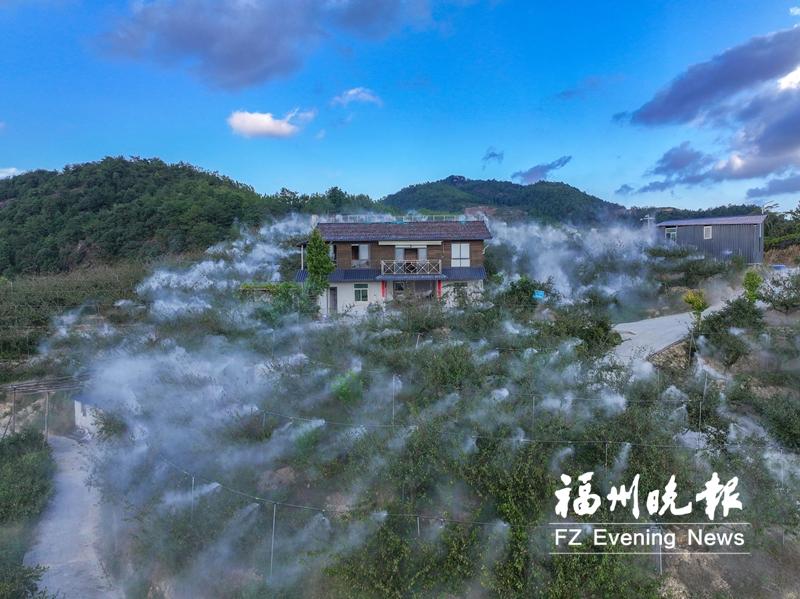 永泰前湖村：奏响振兴“三重奏”