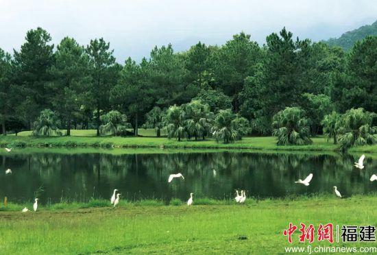 兩代臺商在福州打造康養綜合體 構建兩岸融合新樣本