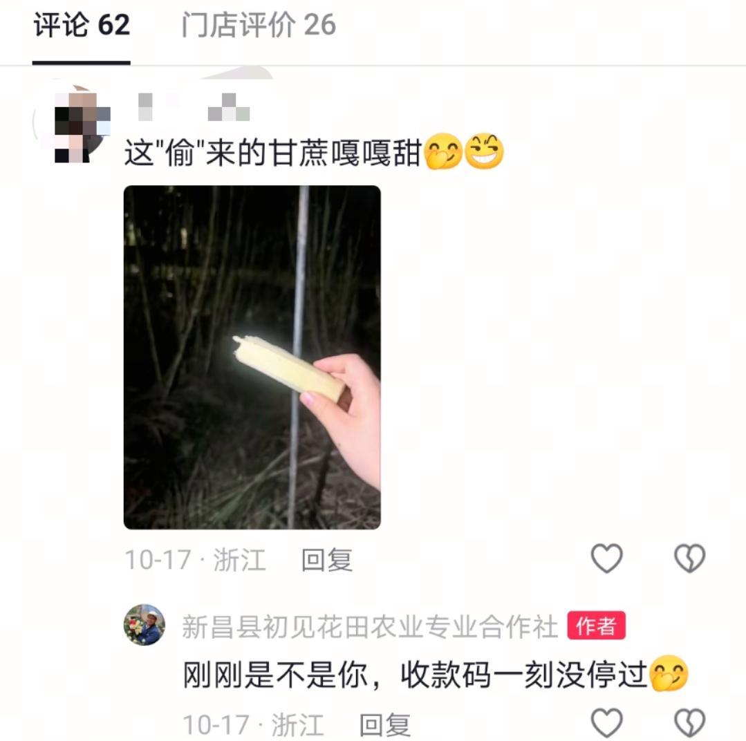 “可偷甘蔗地”成打卡点 网友深夜体验