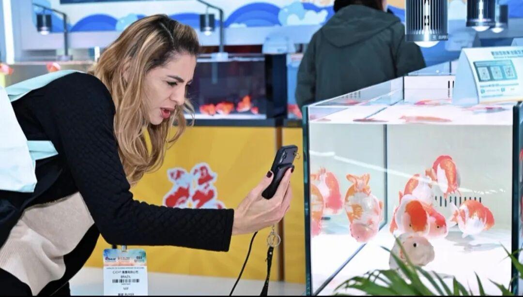 火了！国际客商围着拍的“水中顶流”！来自福州新区（长乐区）