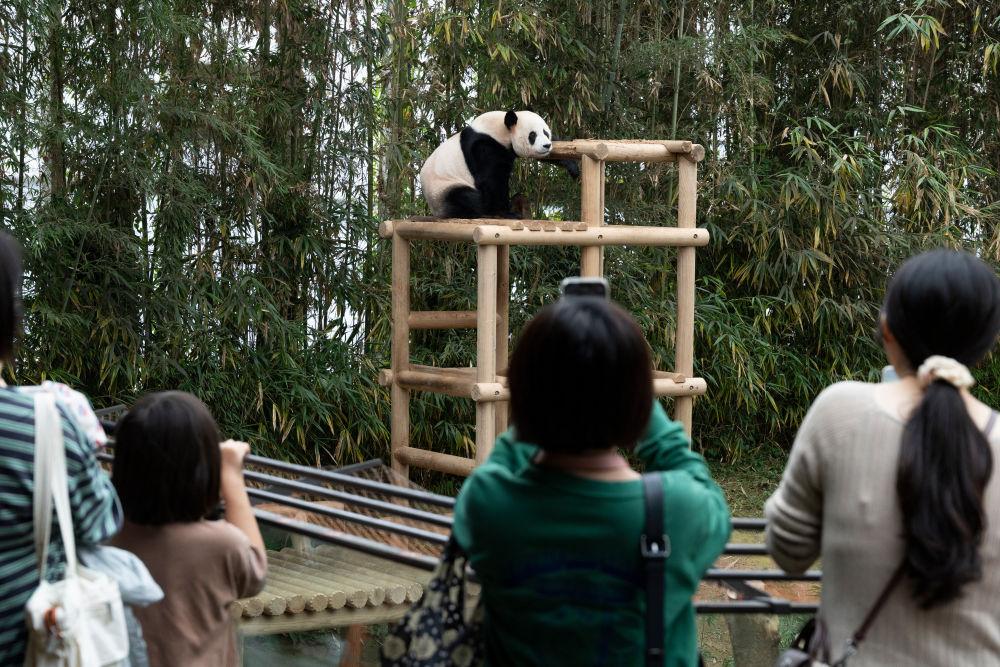 以团结与担当谋划亚太发展新篇章——写在习近平主席出席亚太经合组织第三十二次领导人非正式会议并对韩国进行国事访问之际