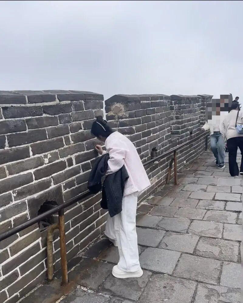 女子在长城刻字劝不住？警方回应