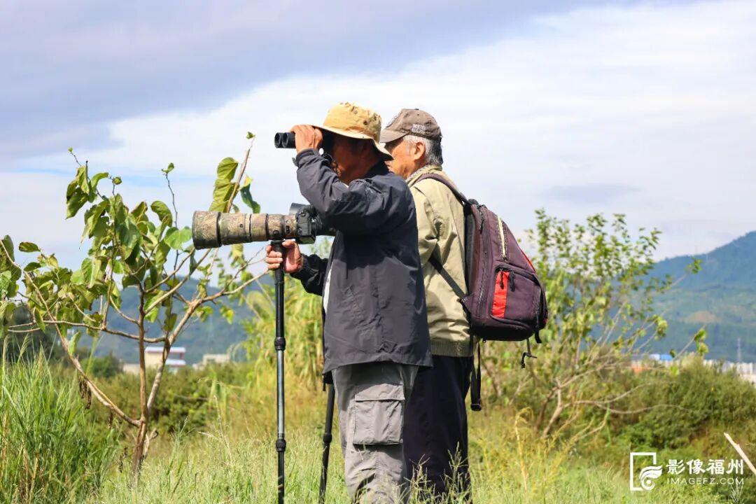 国家一级！现身福州！