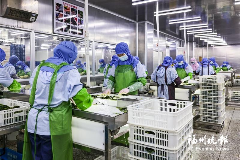 福州海带“闯海外” 推动技术研发与产品创新 福州海带“闯海外” 推动技术研发与产品创新