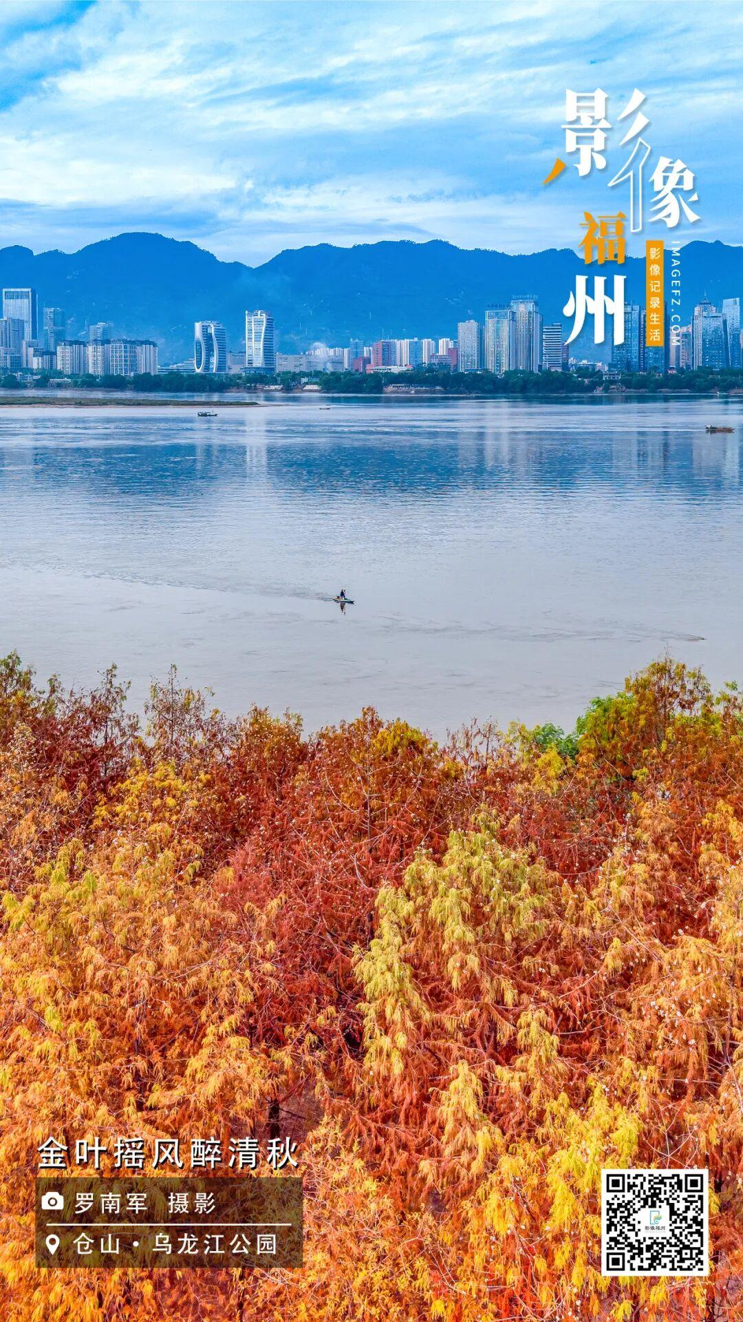 影像福州丨金叶摇风醉清秋 影像福州丨金叶摇风醉清秋