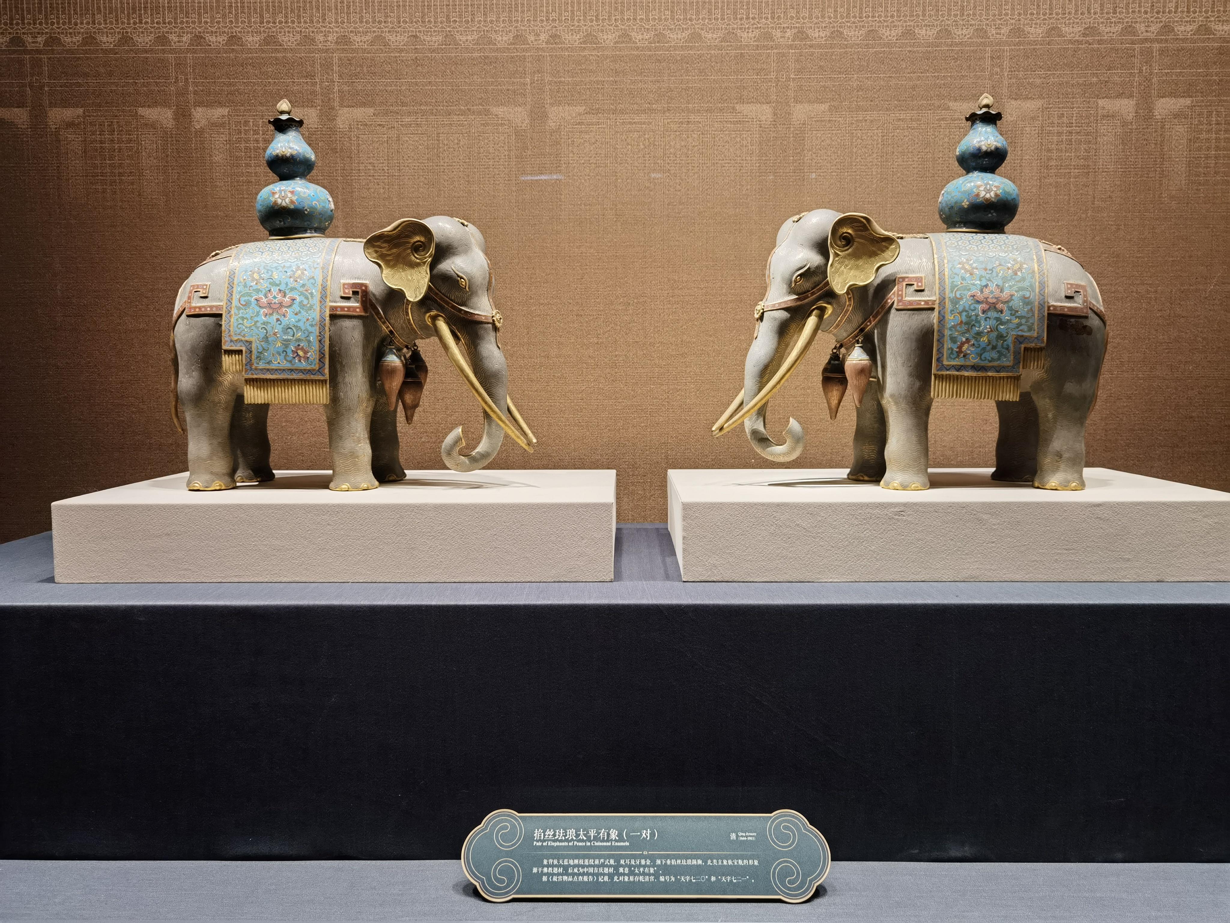 鉴往知来，跟着总书记学历史丨让中华文明瑰宝永续留存、泽惠后人