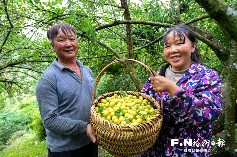 这场乡村振兴现场会有看头