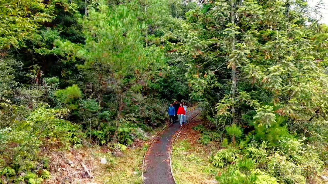 免费开放!闽清秋日生态游绝佳打卡地→ 免费开放!闽清秋日生态游绝佳打卡地→