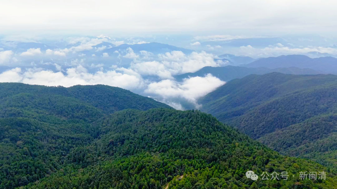 免费开放!闽清秋日生态游绝佳打卡地→ 免费开放!闽清秋日生态游绝佳打卡地→