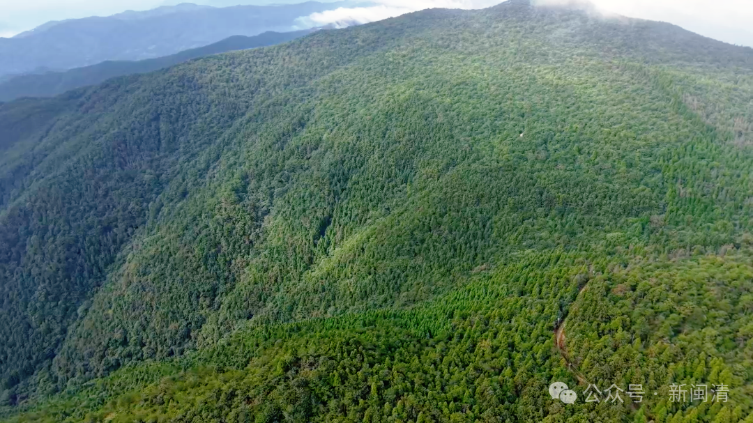 免费开放!闽清秋日生态游绝佳打卡地→ 免费开放!闽清秋日生态游绝佳打卡地→
