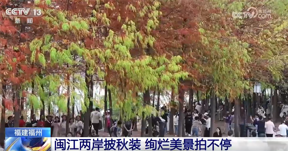 央视关注福州：闽江两岸披秋装 绚烂美景拍不停